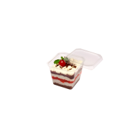 Pote-Quadrado-8466-Prafesta-Microondas-20x250ml-2